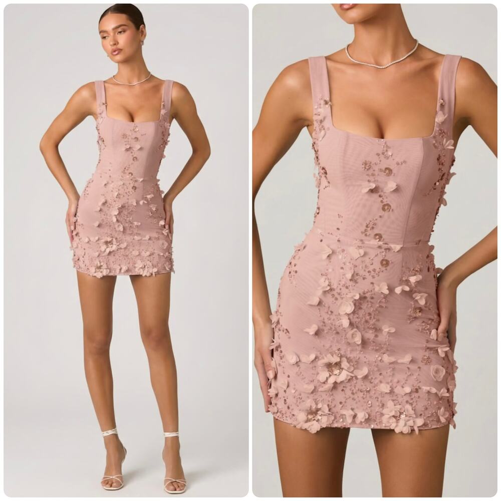 Oh Polly Briar Embellished Appliqué Corset Mini Dress in Dusty Rose Size 4